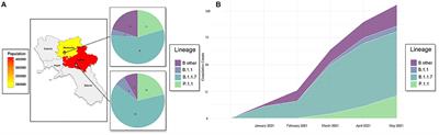 Genomic Characterization of the Emerging SARS-CoV-2 Lineage in Two Districts of Campania (Italy) Using Next-Generation Sequencing
